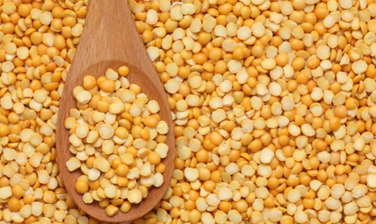 Best-Pea-Protein-Powders-in-2023