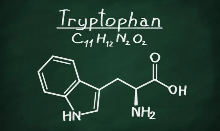 14-Foods-With-Tryptophan-the-Benefits-of-This-Amino-Acid-Featured