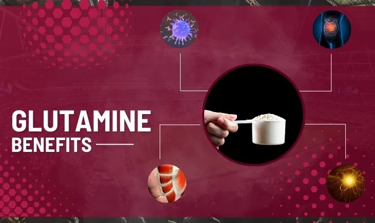 Glutamine-Benefits-Featured