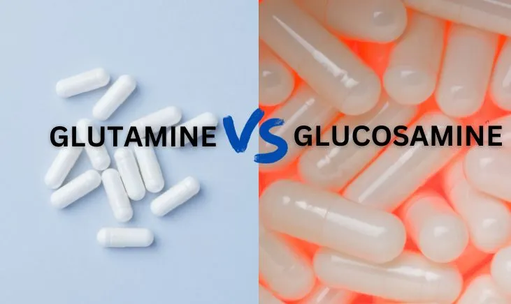Glutamine-Vs-Glucosamine-Featured