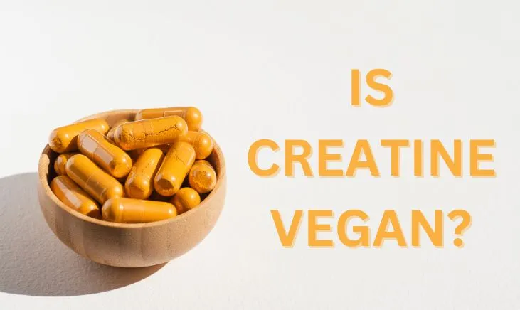 Is-Creatine-Vegan-Featured