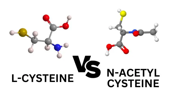 L-Cysteine-vs-NAC-Featured