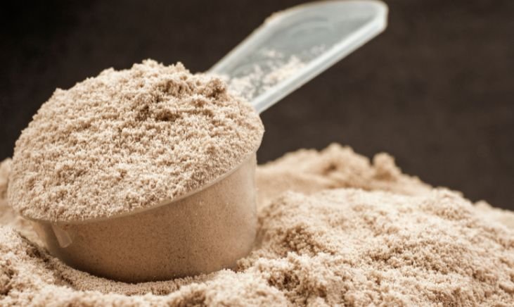 The 10 Best Protein Powders Without Artificial Sweeteners
