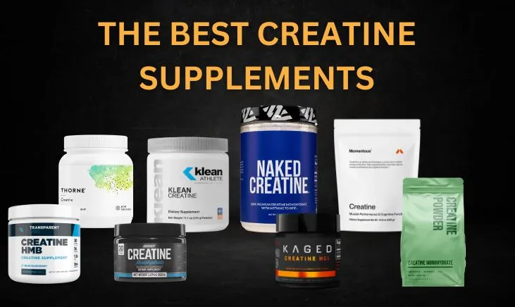 The-Best-Creatine-Supplements-Featured