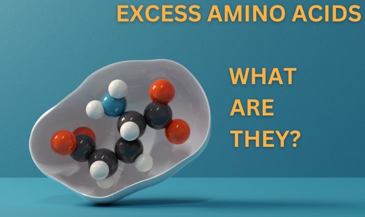 what are excess amino acids