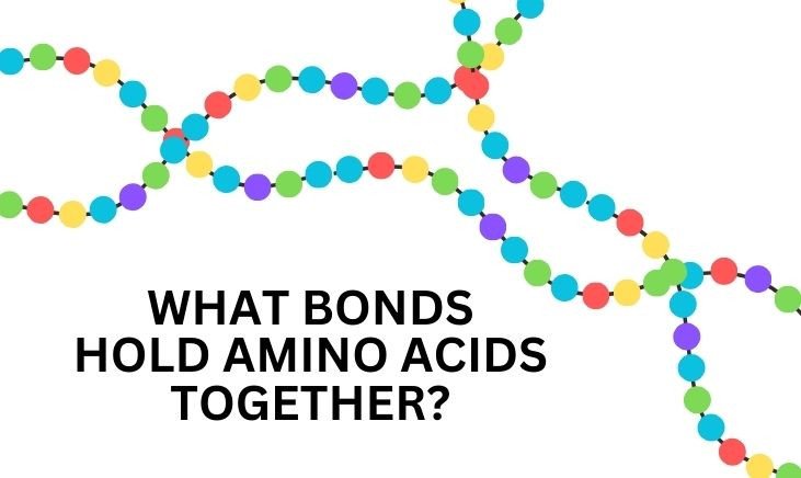 line-with-different-color-of-circles